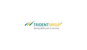 Trident India logo